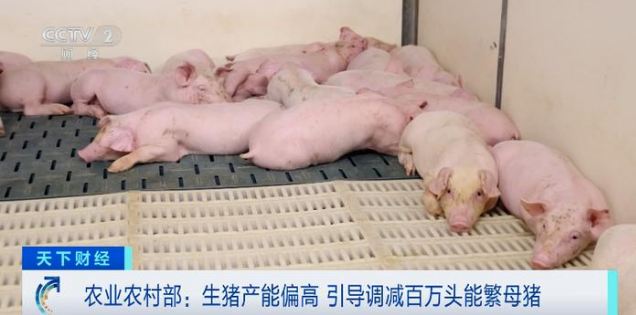 �°�������괺�������i���ڌ����@���࣬�i�r�����½�