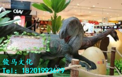 �������� �������ģ�ͳ��� �Cе����չ �������չ����