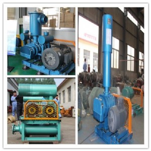 �h���� �ߠt�L�C|�ߠt���L�C|�ߠt�_���L�C�O�õ��ۺ����