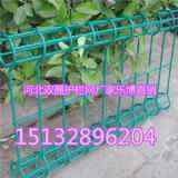 ��h�pȦ�o(h��)�ھW(w��ng)�����Gɫ�F�z�W(w��ng)�����Gɫ���x��