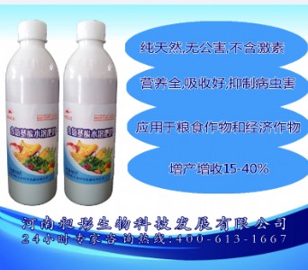 ��ͮ�|�����ͷ���ƽ������