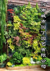 ���ݲ͏dֲ�һƽ���r��-���ϳ��Ј@���@ˇ���޹�˾