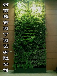 ����ˮ��ֲ�ʩ���r��-���ϳ��Ј@���@ˇ���޹�˾