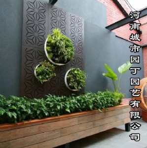 �҃�����ֲ�����������չʾ-���ϳ��Ј@���@ˇ���޹�˾