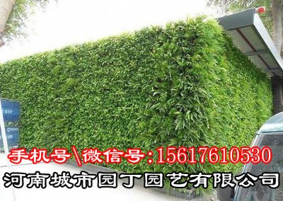 �����҃�ֲ�ʩ���r��-���ϳ��Ј@���@ˇ���޹�˾