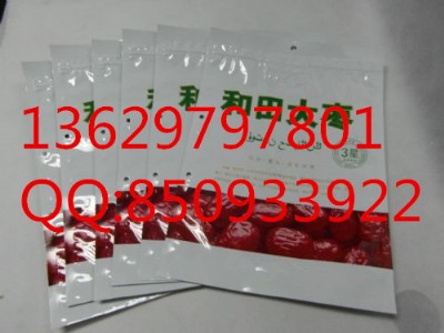 �ؑc500g������t����հ��b��������