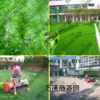 ��������������/�������������ݽ��O /��(y��u)�|��������a(ch��n)