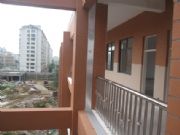 ���Ϻ��_׃�οp�D������