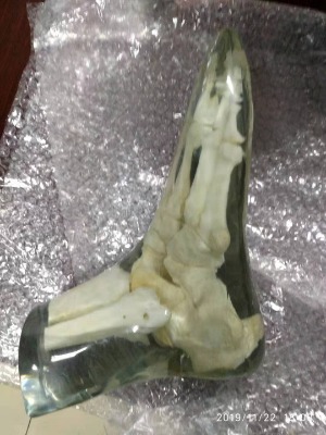 x�侀�_��ģ�w-���˹��^x�侀�_��ģ�w