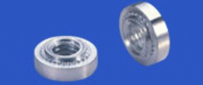 ����(y��ng)���P�F���T��ĸ