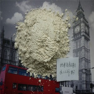 �ε¹����h�t��� �{���h�t���