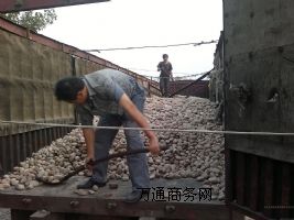 ����Z��ʯ��ُ��r