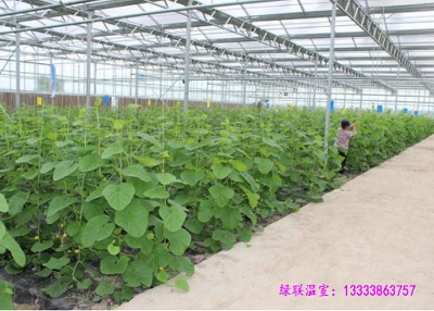 ���ļ������Ҵ������