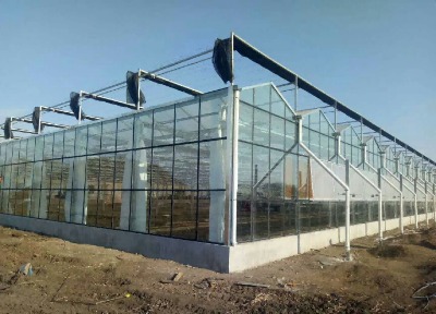 �����Ͳ������Ҵ���