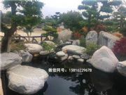 �V�|Ӣ��̩ɽʯ �V�|̩ɽʯ�S�� �V�|̩ɽʯ���l�r