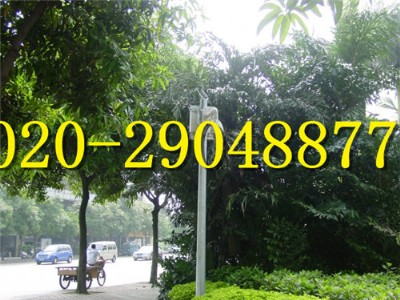 ��·�O�ؗU�r�񣬱O�ؗU�S�ң����P䓱O�����U