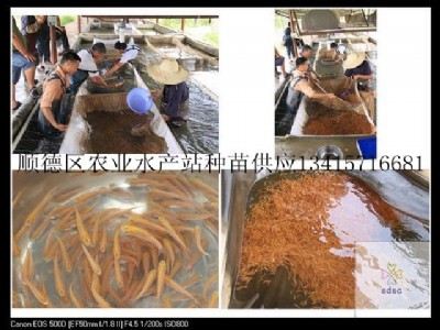 ��������~�硢���_˹����~�硢����~ˮ��