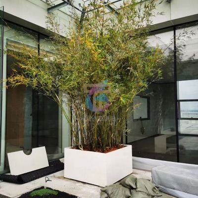 �̘I�ֲ��P䓻��仨��_���ⲻ�P䓻��䶨��_�ع�������Ʒ����S