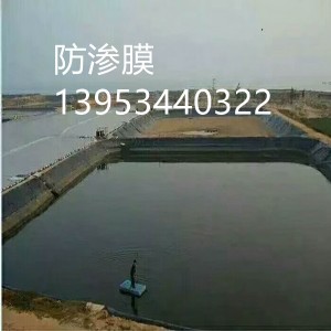 ɽ��hdpe���BĤ �����S��ˮ�ط��BĤҎ(gu��)��