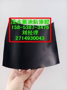 ����(y��ng)���ϣ�ɏź�Nֲ���BĤ+�B(y��ng)ֳ�������BĤ