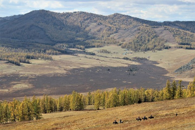 �����д��d�^ע�����Q��˾������ϼ�����