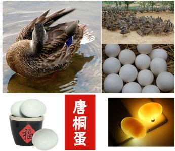 ��ͩ�� ���� �ƺ��خa ����خa �Y���b40ö �r��128Ԫ