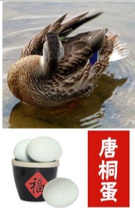 ��ͩ�� ���� �ƺ��خa ����خa �Y���b20ö �r��  68