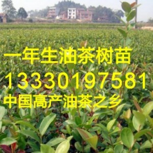 ���������߮a�Ͳ���,�f��,�����h�޽��Ͳ�������l�r��