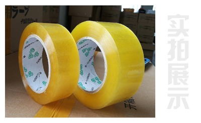 ����z��͸���z�������z��