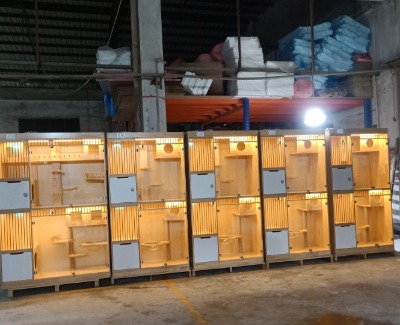 ��ľ؈�񣬼��Bչʾ�񣬷�����