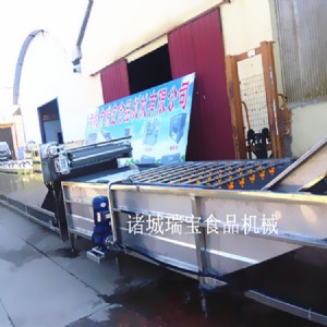 �B�mʽ������ϴ�C �t��������ϴ�C ɽ髚�����ϴ�C