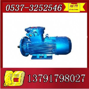 ybk2-250m-4����늙C