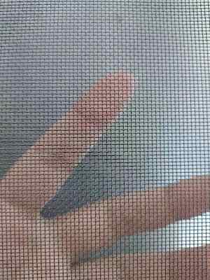 304���|03���״�16Ŀ��͸�W�e����͸�����W