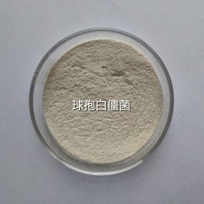 �׽������a(ch��n)�S��