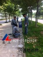 ���d���P�����܇�� ���d���P�����܇��