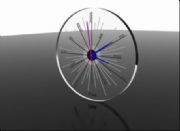 �r���\�D�����r�В��