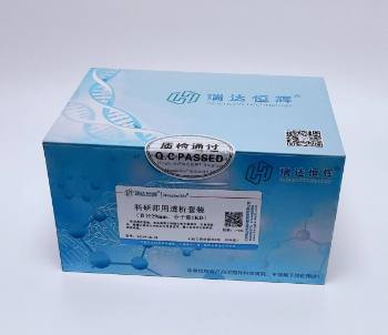 ���м���͸�����b